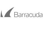 barracuda tech support